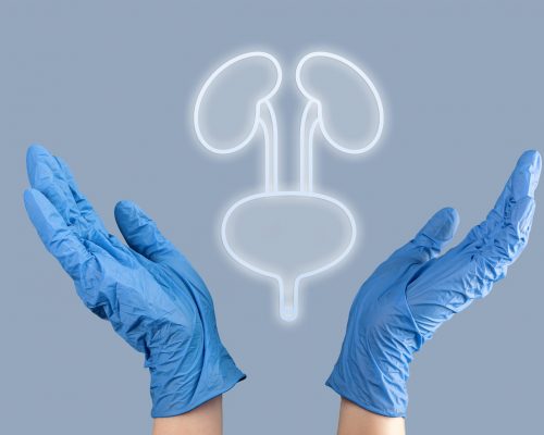 concepto-diagnostico-atencion-salud-organos-rinones-vejiga concepto-diagnostico-atencion-salud-organos-rinones-vejiga