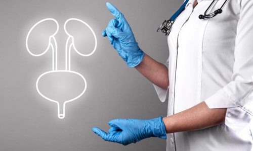 sistema-urinario-salud-organos-vejiga-rinones-fondo-banner-medico-organo-interno-humano sistema-urinario-salud-organos-vejiga-rinones-fondo-banner-medico-organo-interno-humano